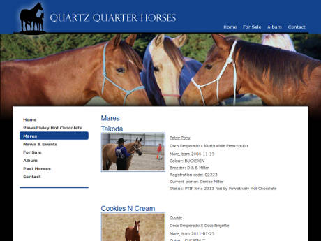 Quartz Quarter Horses